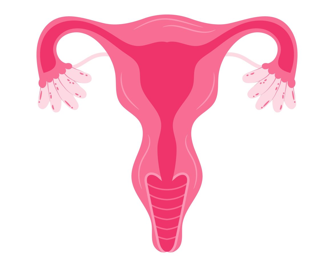 Women health Uterus Floral Ovary reproductive system Concept