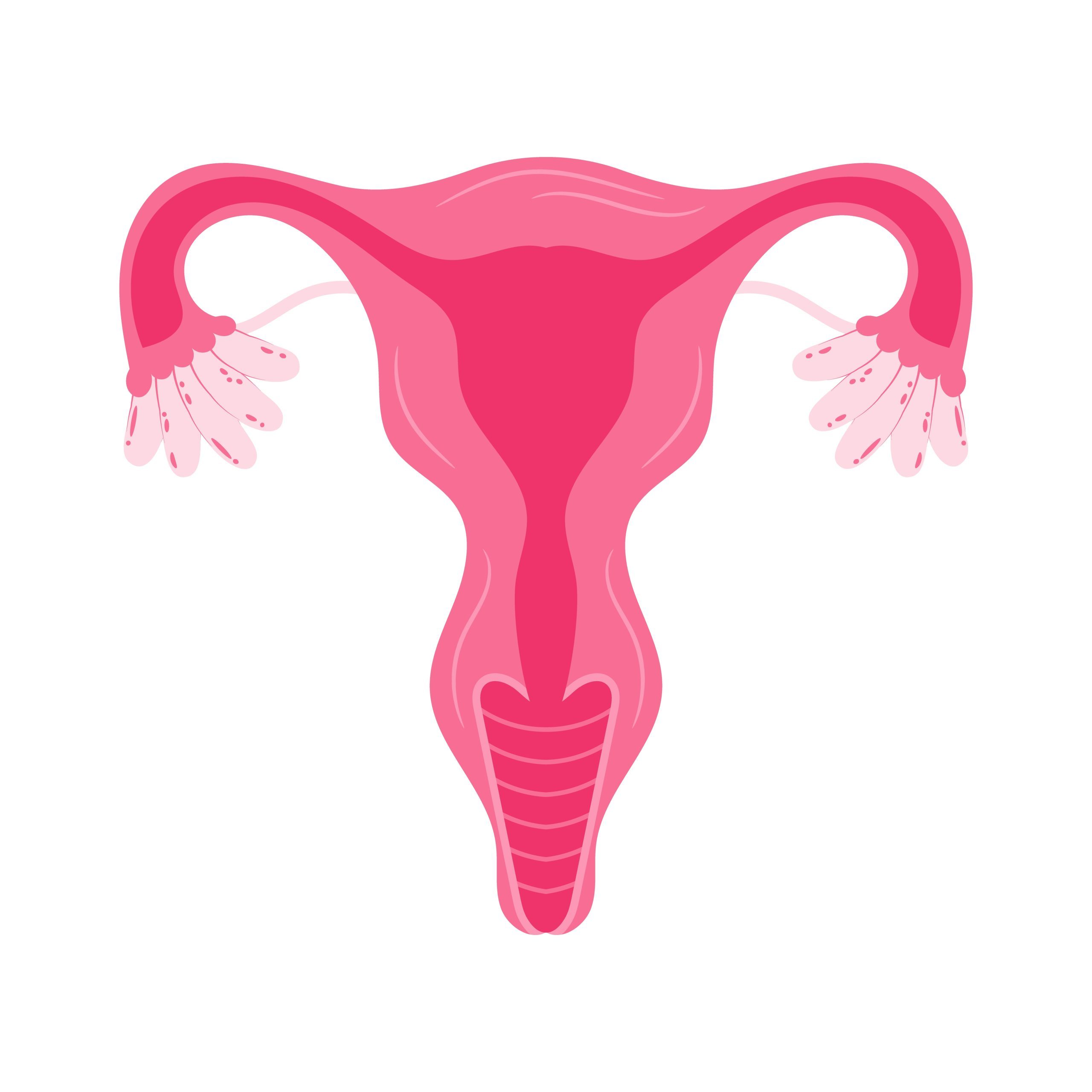 Women health Uterus Floral Ovary reproductive system Concept