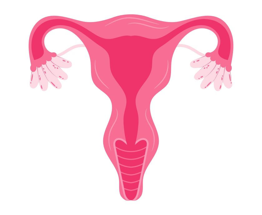 Women health Uterus Floral Ovary reproductive system Concept